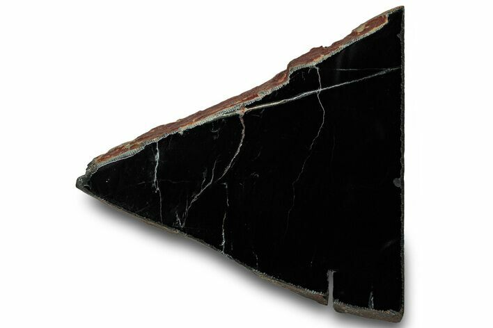 Polished Black Jade (Actinolite) Section - Western Australia #314590